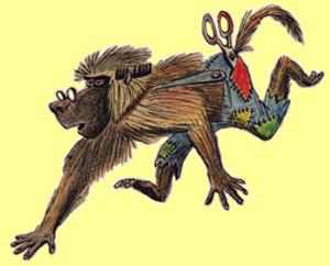 BARBER BABOON